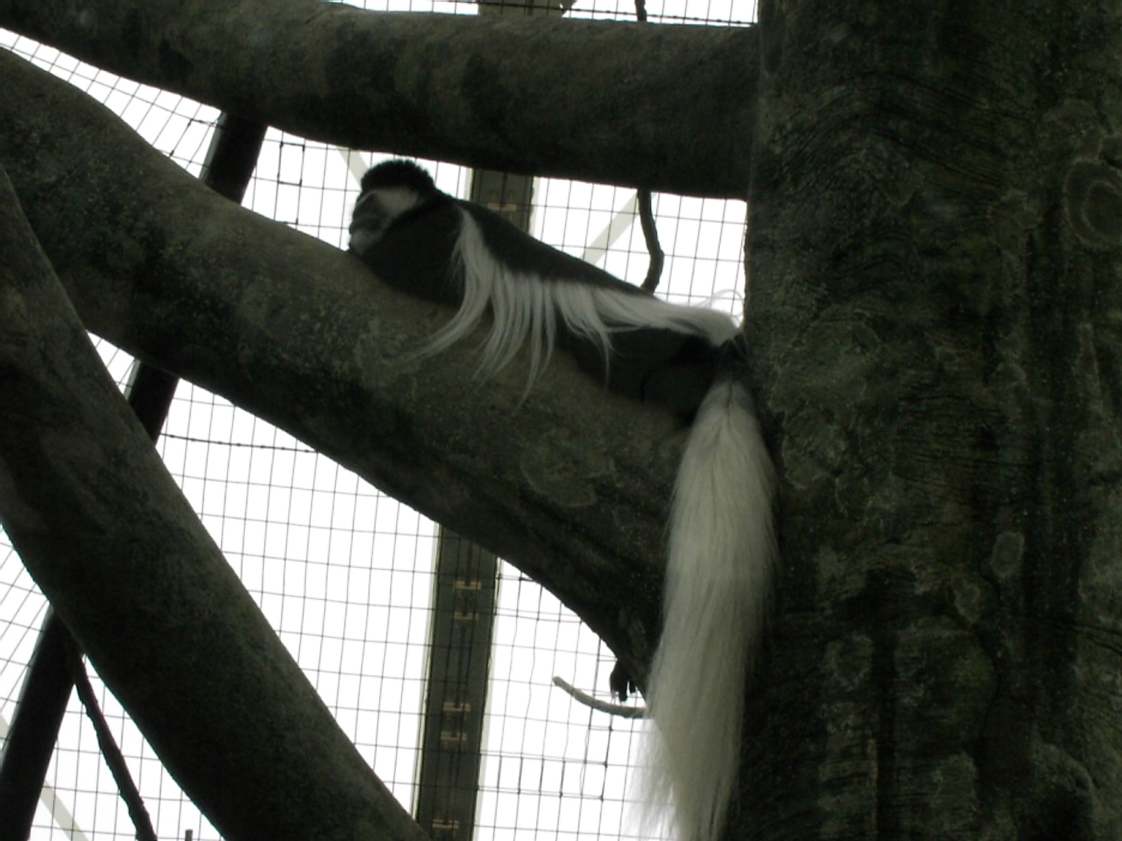 ./2006/EMMMS Zoo/EMMMS Zoo 4-060019.JPG